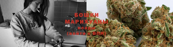 гидропоника Инта