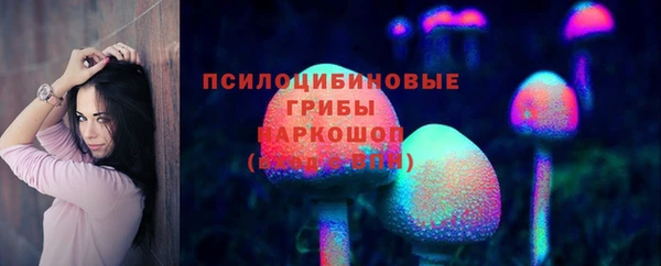 гидра Иннополис