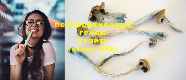прущий лед Каменногорск
