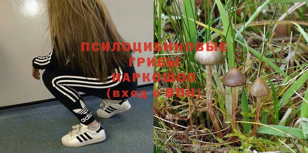гидропоника Инта