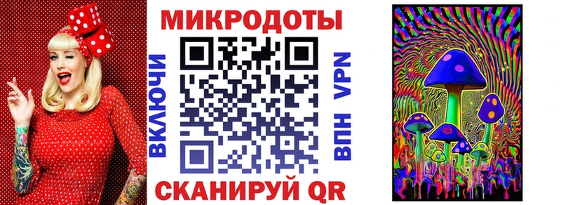 Купить где  Кяхта  Галлюциногенные грибы Magic Shrooms 